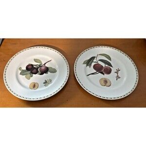 SET OF 2 QUEENS ROYAL HORTICULTURAL SOCIETY HOOKERS FRUIT DINNER PLATES ~ XLNT